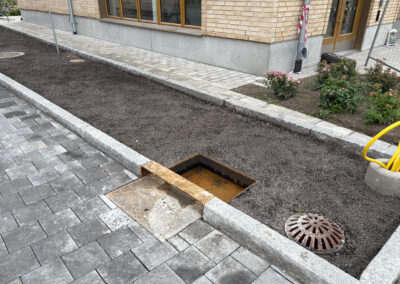 Lång regnbädd med monterat regnbäddsinlopp omgiven av stenläggning, och plantering.